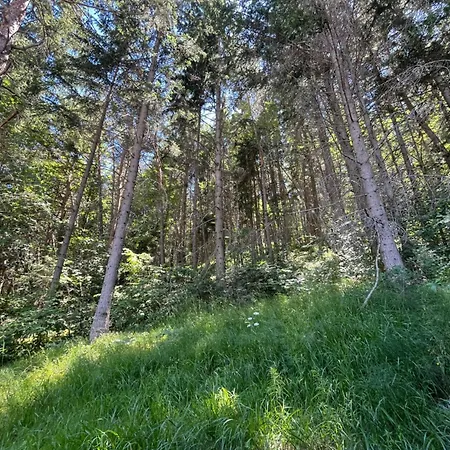 Chalet Dans La Verdure - Les Chapeliers Uvernet-Fours