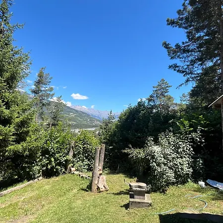 Dans La Verdure - Les Chapeliers